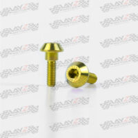 BAUT-DISK-R6-R1-GOLD