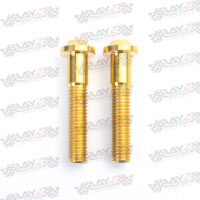 BREMBO-HEAD-GOLD-copy
