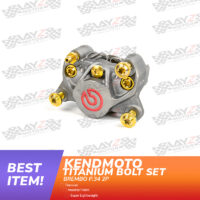 BREMBO-P2-BAUT-TITANIUM-GOLD