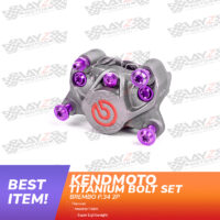 BREMBO-P2-BAUT-TITANIUM-PURPLE