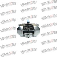 BREMBO-P2-NICKEL-3