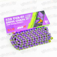 DID_520-EVA-01