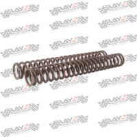 FRONT-SPRING-KIT-NINJA-300-NINJA-250-FI-2