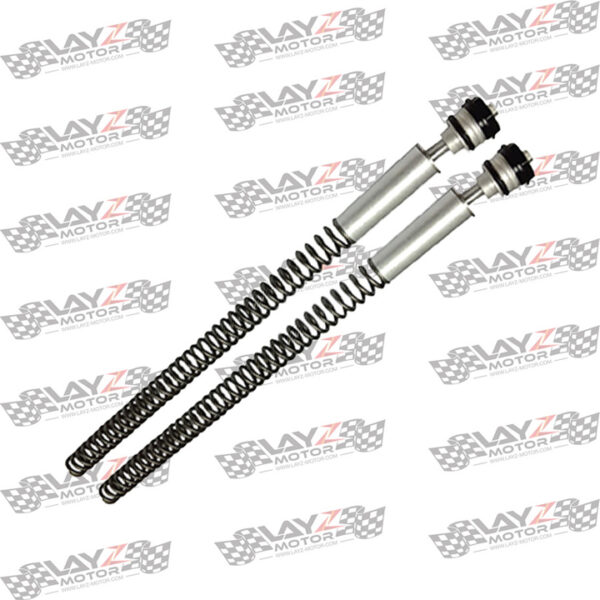 OHLINS Kawasaki NINJA 300 Front Spring Kit FSK 101