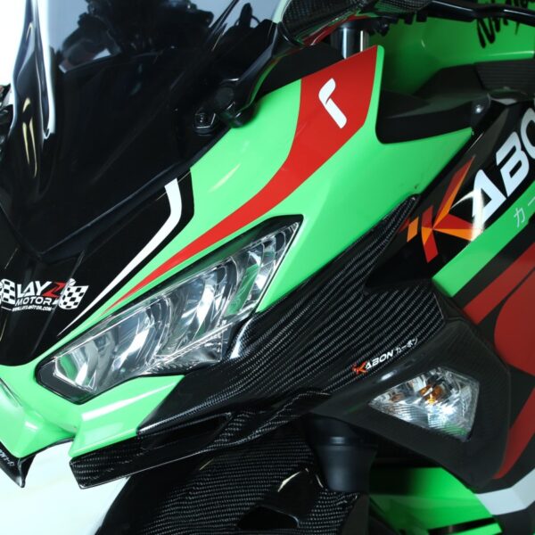 Second image of KABON Kawasaki NINJA 250 2018 Cover Sein Carbon