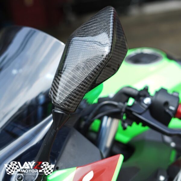 Second image of KABON Kawasaki NINJA 250 2018 Cover Spion Carbon
