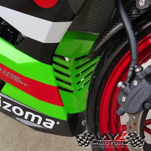 Second image of KABON KAWASAKI NINJA 250 2018 V-GRILL