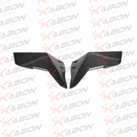 KABONX_H2_winglet-carbon
