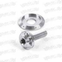 KENDMOTO_BAUTRING-TITANIUM-WINDSHIELD-M5-copy-4
