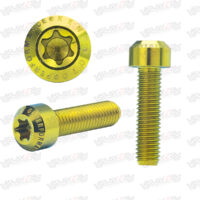 KENDMOTO_TORX-M5-GOLD