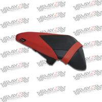 Luimoto-Kawasaki-250-2018-Red-Passenger