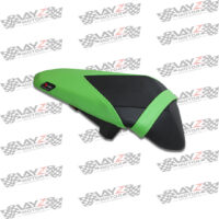 Luimoto-Kawasaki-250-2018-green-Passenger