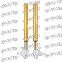 OHLINS-Kawasaki-ZX-10-Front-Shock-FGRT225-5