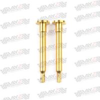 PIN-BREMBO-GOLD-1LOW