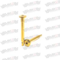 PIN-BREMBO-GOLD-copy-2-1LOW