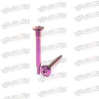 PIN-BREMBO-PURPLE-copy-2-1LOW