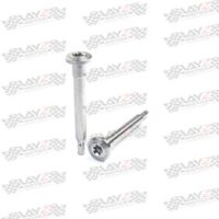 PIN-BREMBO-SILVER-copy-2-1LOW