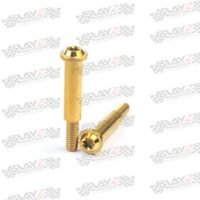 PIVOT-BREMBO-RCS-CC-Gold-copy-2-1LOW