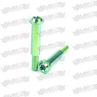 PIVOT-BREMBO-RCS-CC-Green-copy-2-1LOW