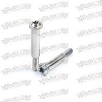 PIVOT-BREMBO-RCS-CC-SILVER-copy-2-1LOW