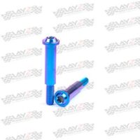 PIVOT-BREMBO-RCS-CC-blue-copy-2-1LOW