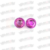 PIVOT-BREMBO-RCS-CC-purple-copy-1LOW