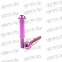 PIVOT-BREMBO-RCS-CC-purple-copy-2-1LOW