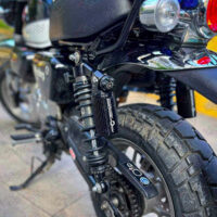 PROFENDER_SERIES-X-MONKEY-125-copy-4