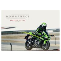 PUIG-Downforce-Spoilers-Kawasaki-ZX-10R-2016-Up-5