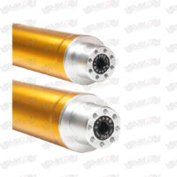 RPD_XMAX-USD-copy-3