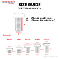 SIZE-GUIDE-BAUT-TORX-100