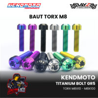 TORX-blue-copy-6-1