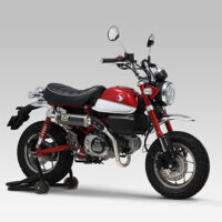 monkey-1