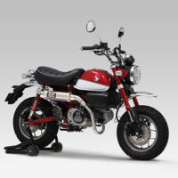 monkey-2